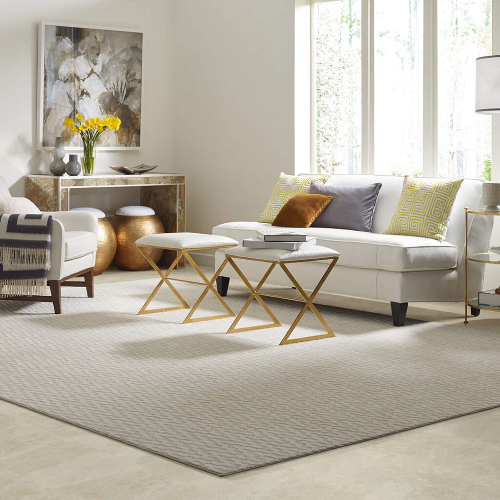 Area Rug | Jabara's