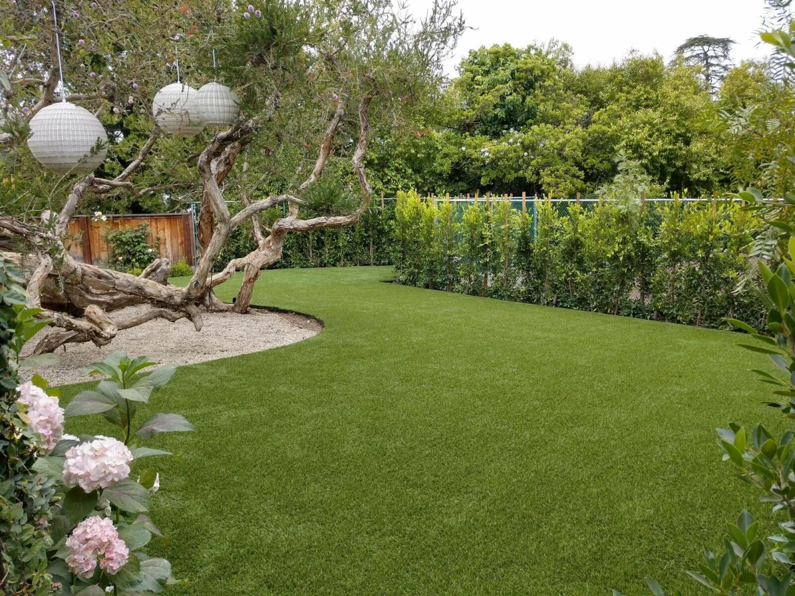 Shawgrass | Jabara's