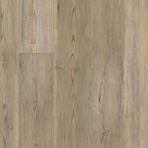 HAPPY FEET INTERNATIONAL ARRIVAL 10 CANYON PINE